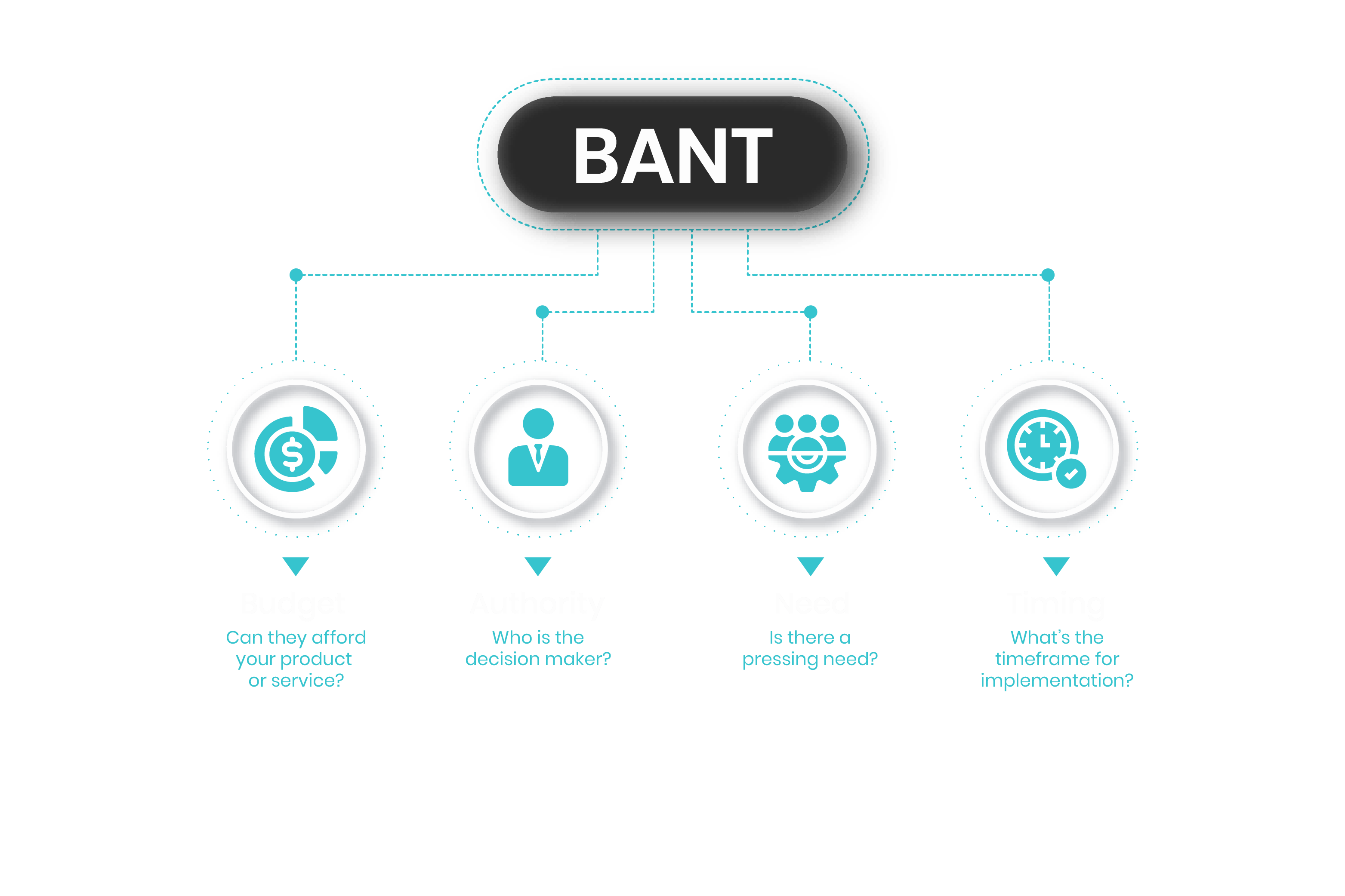 B.A.N.T Discovery Leads