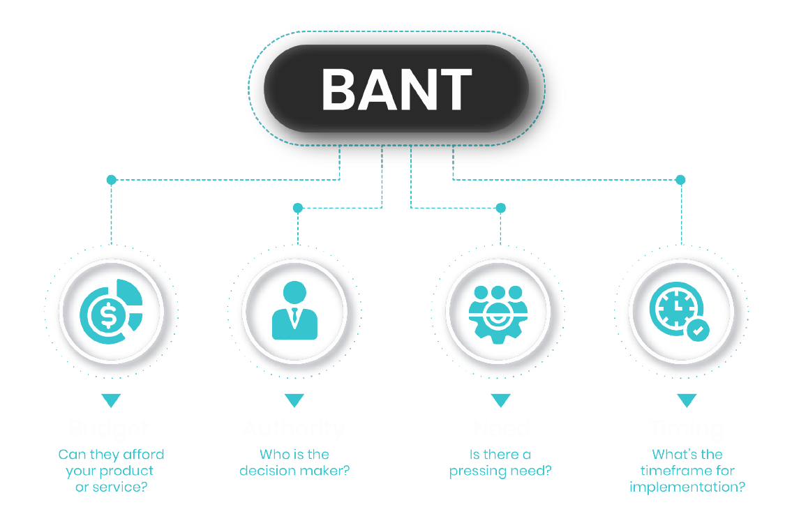 B.A.N.T Discovery Leads